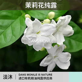 茉莉花细胞液天然护肤保湿纯露面部美容院爽肤水滋润厂家批发