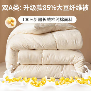 Class a Xinjiang Cotton Jacquard 85% Soy Fiber Quilt Soybean Quilt Spring & Fall Quilt Winter Quilt Winter Thick Style