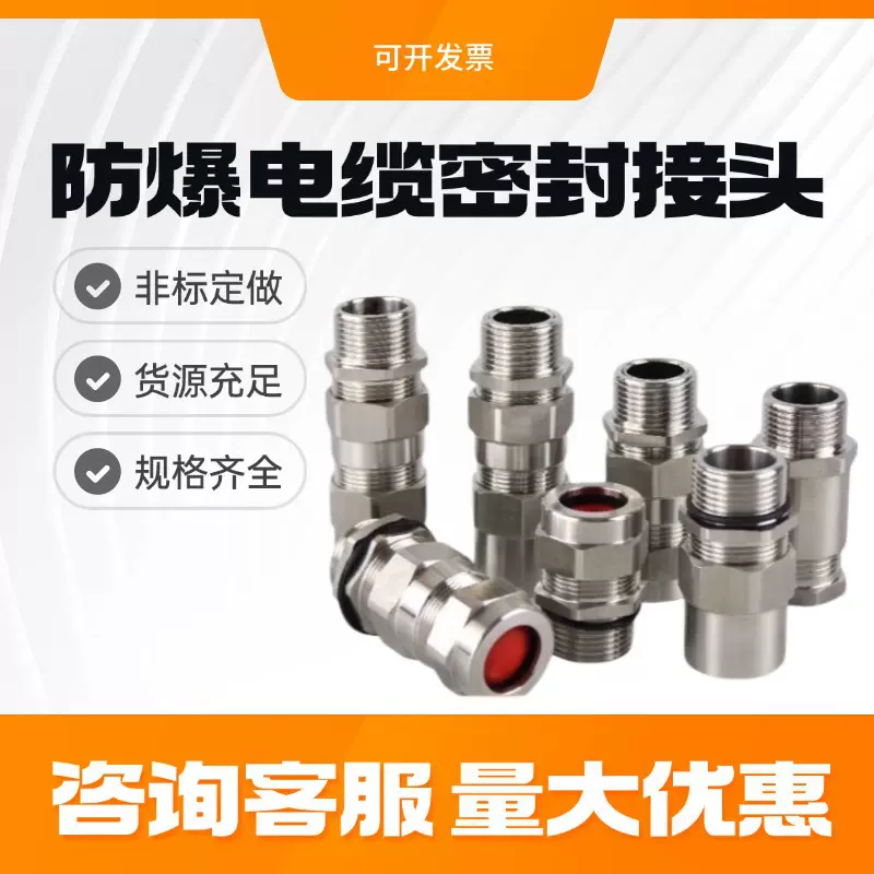 304不锈钢铠装防爆格兰头电缆夹紧密封接头金属双填料函防静电