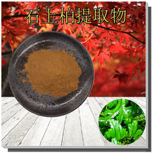 石上柏提取物10:1无中间商石上柏浓缩粉新人立减地侧柏提取物