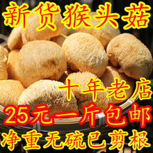 净重新货猴头菇500g包邮古田农家已剪根自产干货非东北长白山