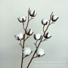 ����5�^���޻�֦�ɻ�������DIY�ٻ�ë�q�����Ҿ�ܛ�b�b��Ĕz����