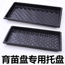 育苗盘种植营养钵蔬菜育种扦插盒农用托盘盆育苗盆穴盘塑料杯