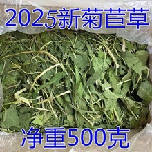 ���Ĳ�������؈���m�i�����������ӼZʳ����500�˾��ĸɲ�