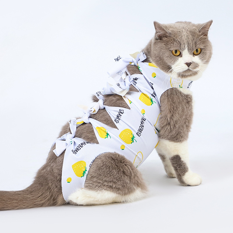 猫の不妊手術服、雌猫の離乳服、ペットの術後舐め防止服、雄猫の手術用ストラップ服、通気性のある離乳服|undefined