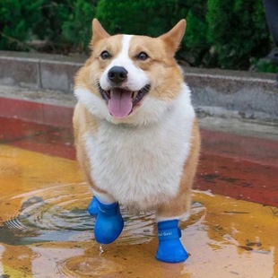 Pet Raincoat Four Seasons Rain Boots Large Dog Golden Retriever Puppy Anti-Dirty Cheap Samoyed Small Teddy Out Small