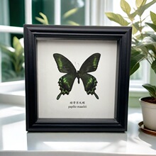 ������˱���� ���s�b�diy�Ҿ����[̨�̌W�������նY��YƷ