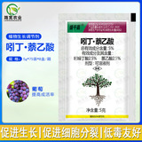 盛千嘉 5% индольный бутират нафталин ацетат -корневой корневой виноград Регулирует рост регулятора роста растений пестицидов 5G