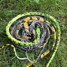 �羳����ܛ�z���R��������M���˼��߄���ģ�ͱ���A�^�ߵ������l