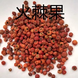 �𼬹� ���l��ș�ľ��x�𼬹� ���� ��ѹ� �ȱ��Z ��܊�Z ���