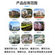 Integrated sewage treatment equipment Buried wastewater treatment complete equipment Domestic sewage treatment equipment