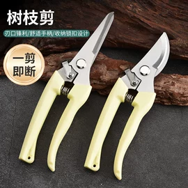 家用剪刀;厨用剪刀;修枝剪
