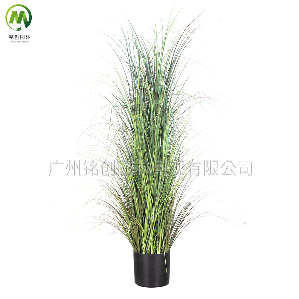 Imprescindible para que las celebridades de Internet se metan en la simulación de cañas, plantas en macetas, plantas de cebolla, decoración de muebles, plantas de simulación de cañas