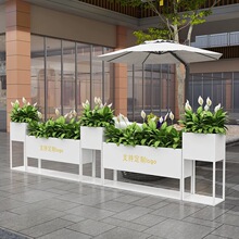 ���⻨���Fˇ��������[���ڸ��໨���̨�Nֲ����ز��P䓻���