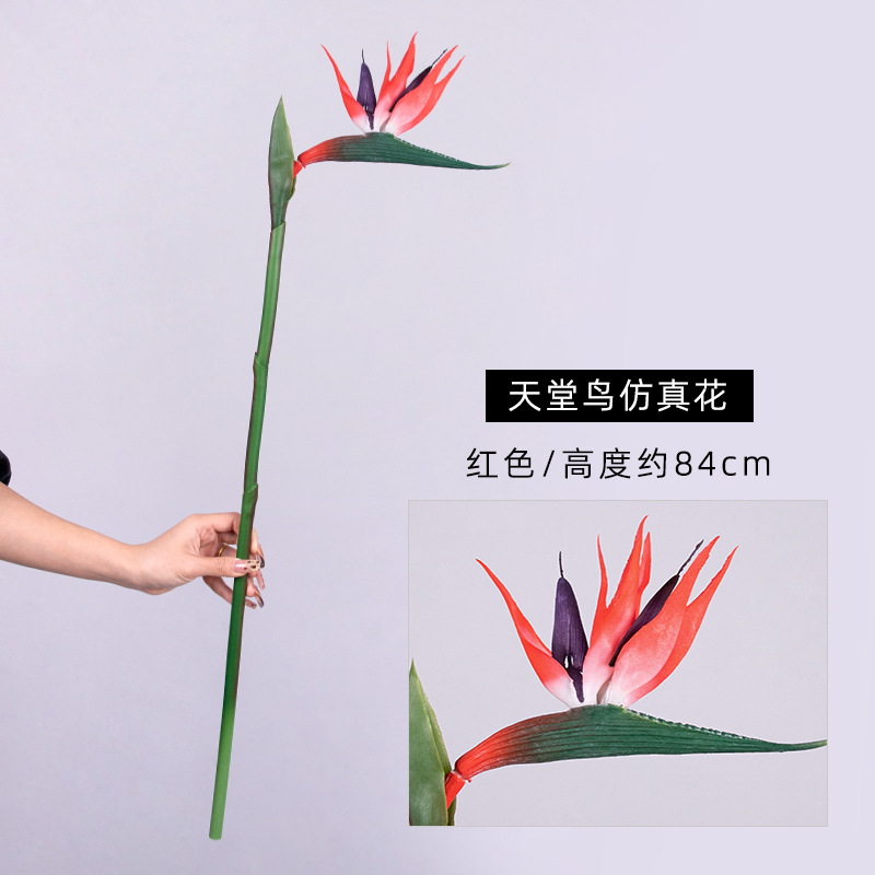 Simulación de pegamento suave ramita pájaro paraíso modelo de decoración para el hogar adornos para la fotografía props de plástico flores falsas al por mayor