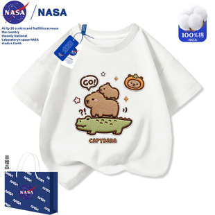 NASA��Ƥ������ͯŮͯt������2026���¿�´̽�ӡ����ͯ���b����