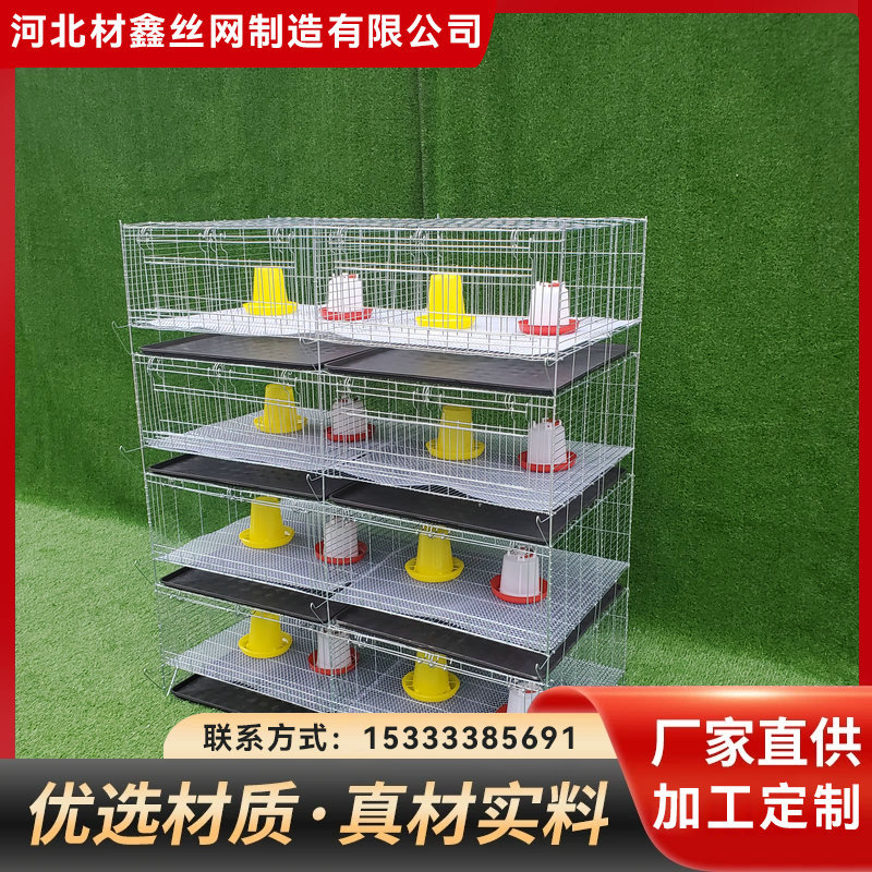 厂家现货加粗育雏鸡舍立式鸡鸭养殖鸡笼鹅笼大型四层一体用品加密