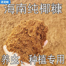 海南纯椰糠营养土脱盐免泡发椰砖无土栽培基质花土菜土庭院种植土
