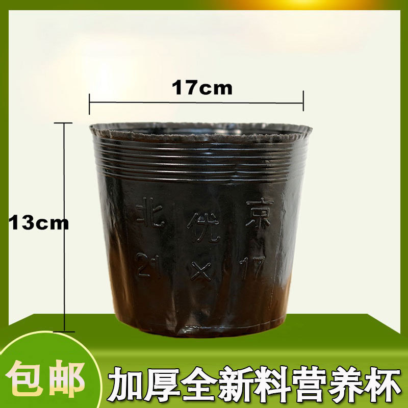 栄養ボウル、使い捨て大型苗ポット、苗カップ、増粘栄養カップ、プラスチック栄養袋、苗袋、農業用植木鉢|undefined