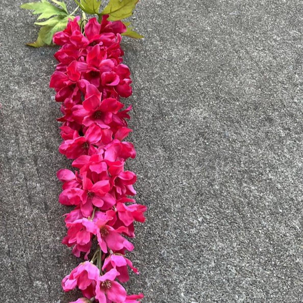 Xiyan gran golondrina Rosa Roja