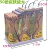 G model: skin enlargement 50 times model