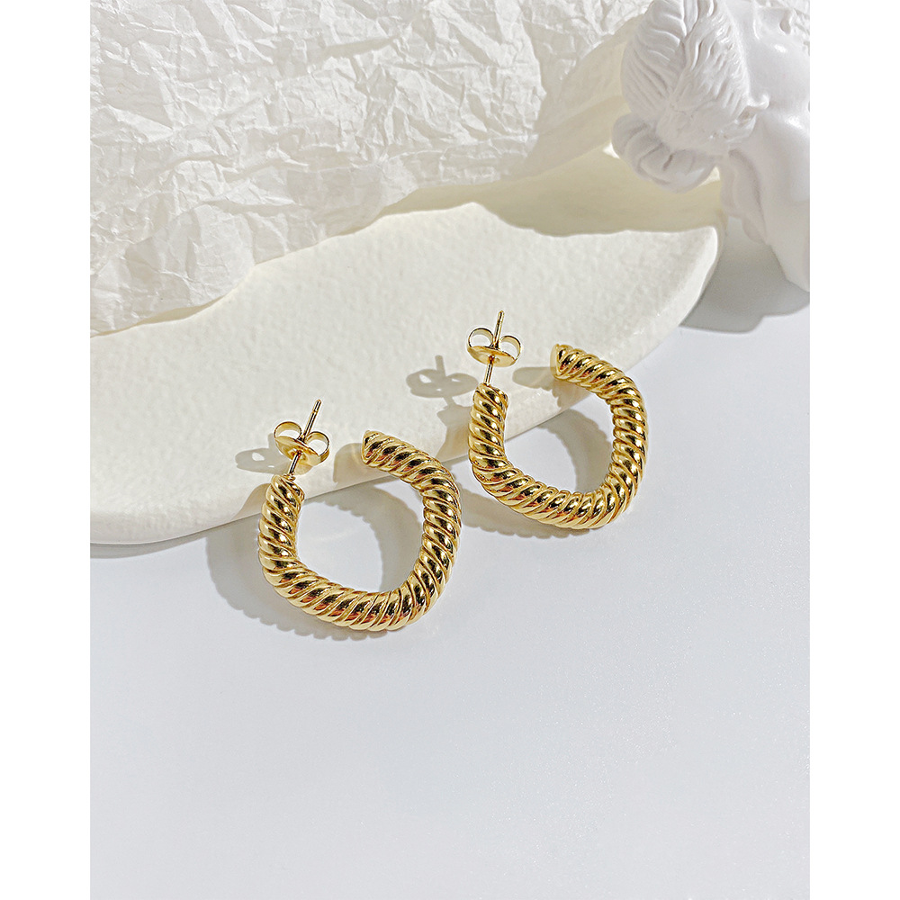 Fashion Solid Color Stainless Steel Earrings Stainless Steel Earrings