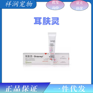 ���w�`������¡������\ș�ζ�Һȥ�����\��������؈�乷������