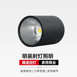 LED轨道灯;射灯;筒灯