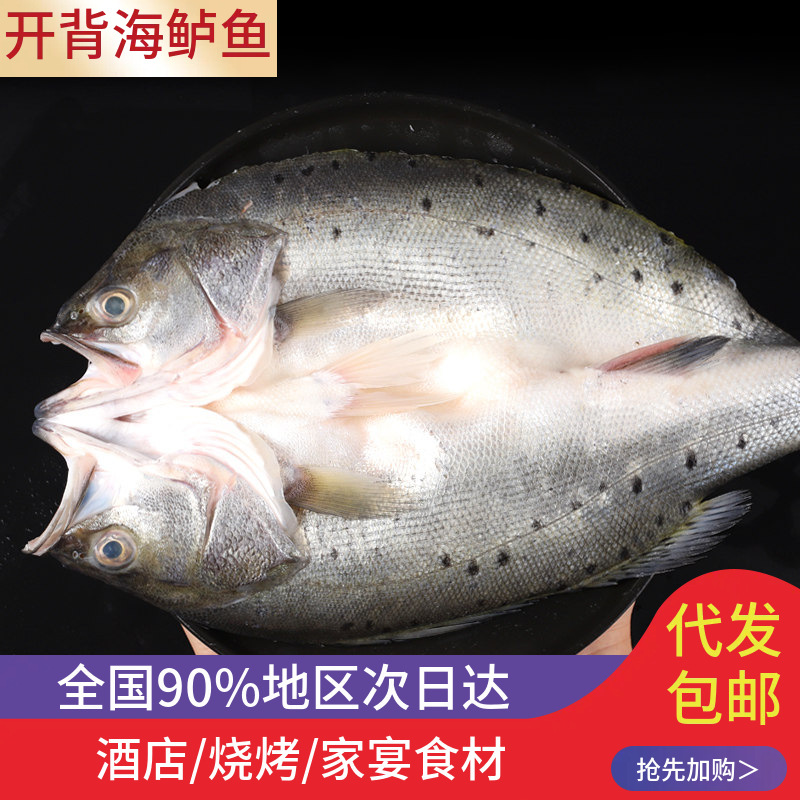 鲈鱼新鲜海鲈鱼600g开背冷冻商用鲜活处理深海特大三去烤鱼半成品