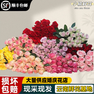 õ�廨�r����ϻ���ֱ�l��S���]�����r�в廨���˹����r��ֱ�l��