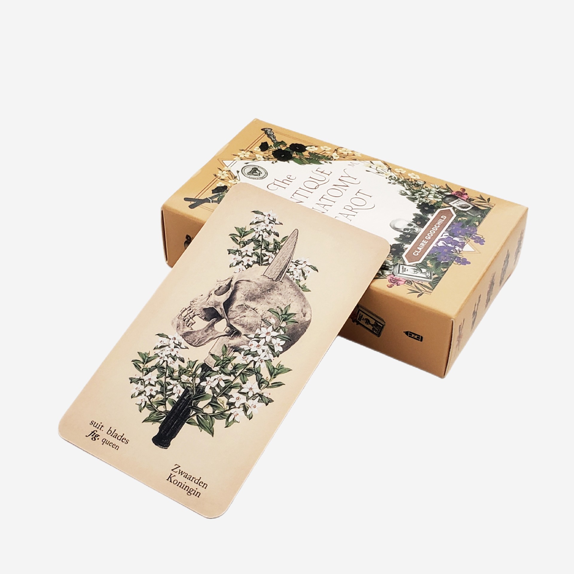The Antique Anatomy Tarot Deck - Classic Divination Party Game_voghion.com
