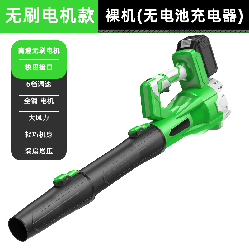 배터리 충전기가 없는 대외 무역 리튬 배터리 녹색 베어 메탈