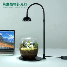 ���r���rled΢���^��USB���^��̫����B̦�\ֲ����a��ֲ�����L��