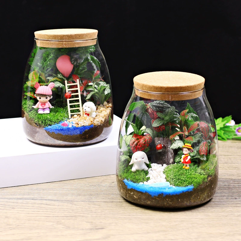 Креативный DIY микропейзаж мох живые зеленые растения Офисные Настольные горшечные растения для влюбленных свадебные подарки