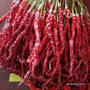 ���������󷽰��� �F���خa������ ����Ĵ� ���G�l���� 500g���]