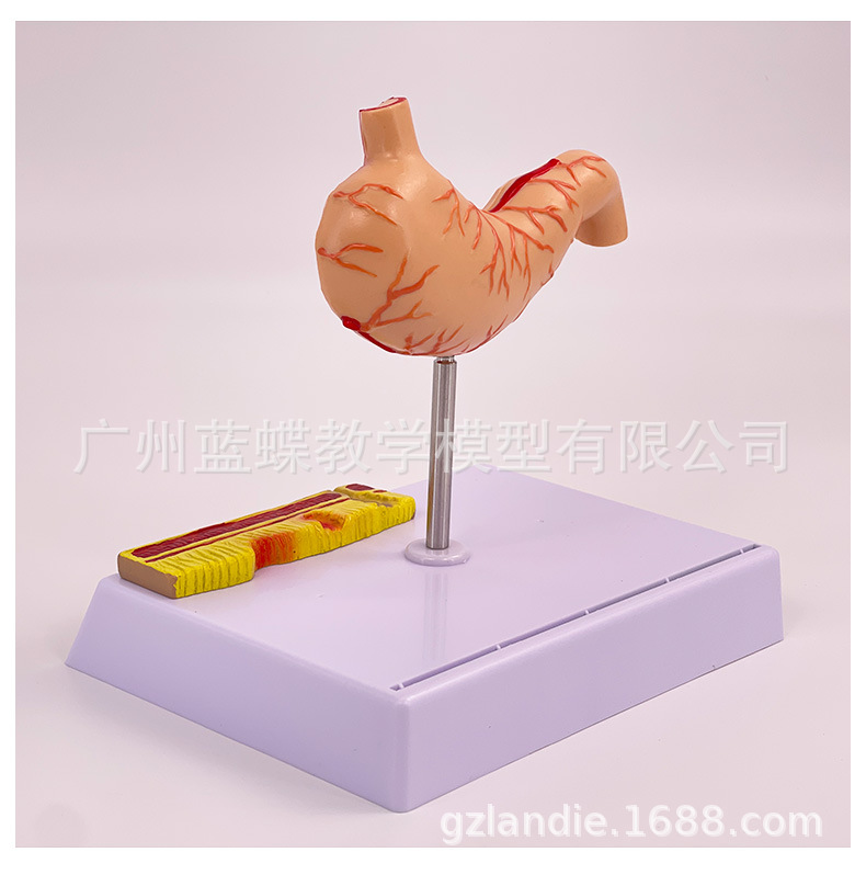 详情_19