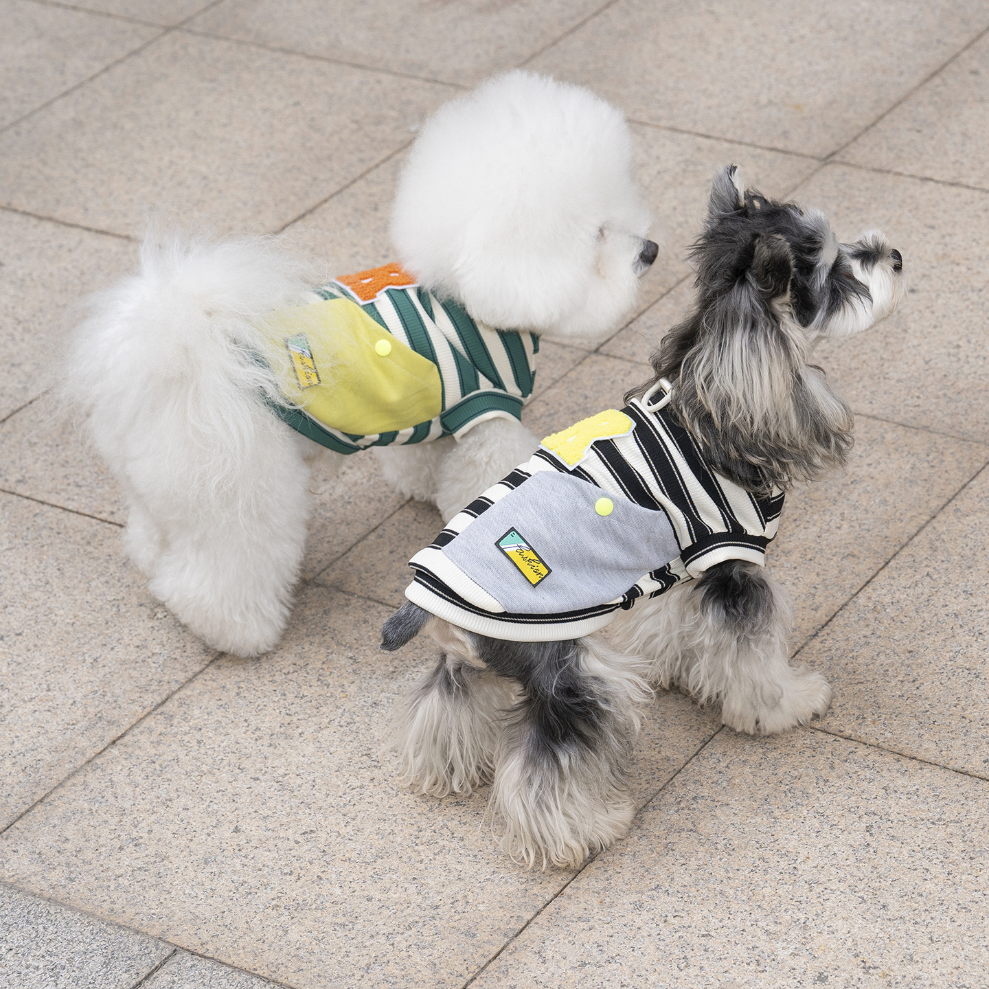 Camiseta a rayas ligera para perros pequeños y bichon frise_voghion.com