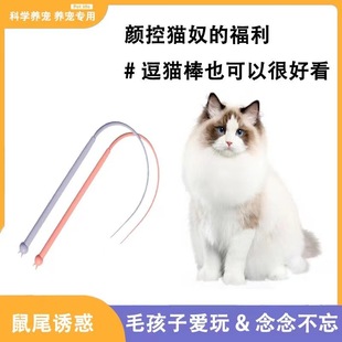 Silicone Cat Teasing Rod Long Rod Cat Interactive Artificial Mouse Catching Cat Toy Replaceable Rod Mouse Tail Cat Teasing Rope