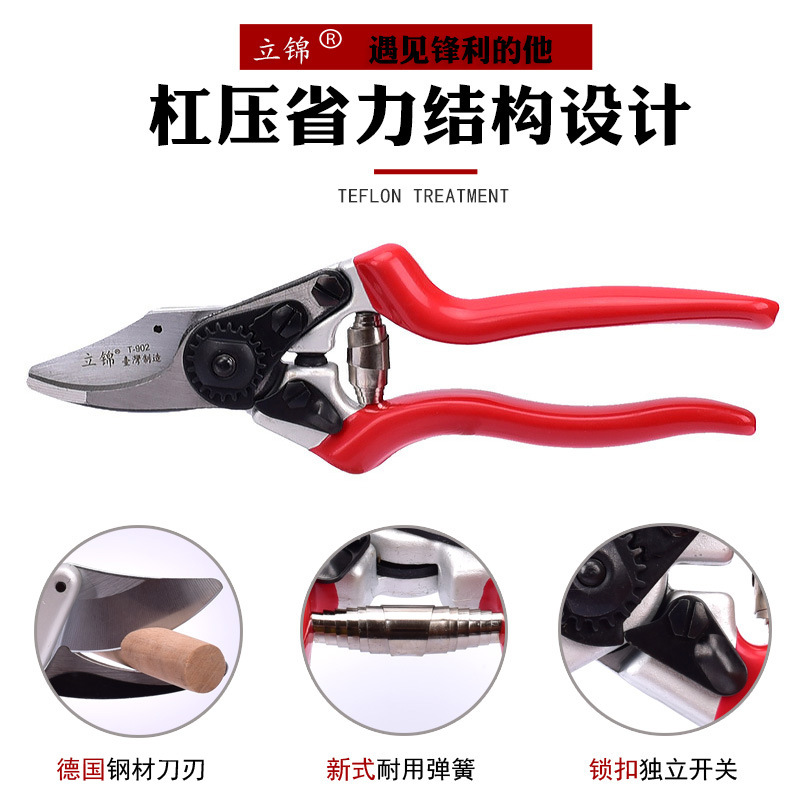 Lijin Taiwán serie de tijeras de ramas de jardín, tijeras de poda de plántulas de frutas, tijeras de jardinería de ahorro de mano de obra, tijeras de flores T902