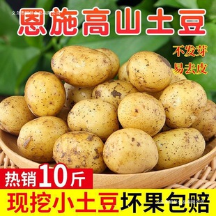 ��ʩС����10����]�������r���������S��ʿ�������R����߲�