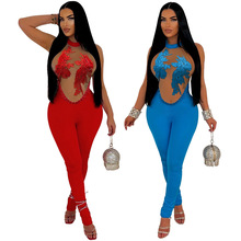 901152款欧美亚马逊外贸新款 时尚圆领透视花边修身连体裤女