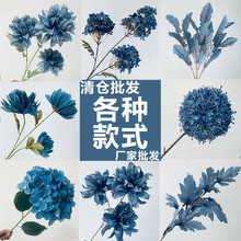 �F���{ɫϵ��c���滨�ŵ��Ž����ٻ��Ļ�Y��·���b�ˇ���l