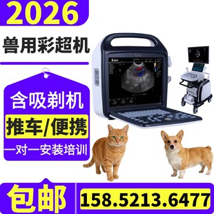 ��؈���R�ñ�yʽ�S�Ұl؛�Pӛ��ʽ�F�t���O�� ����y���x450