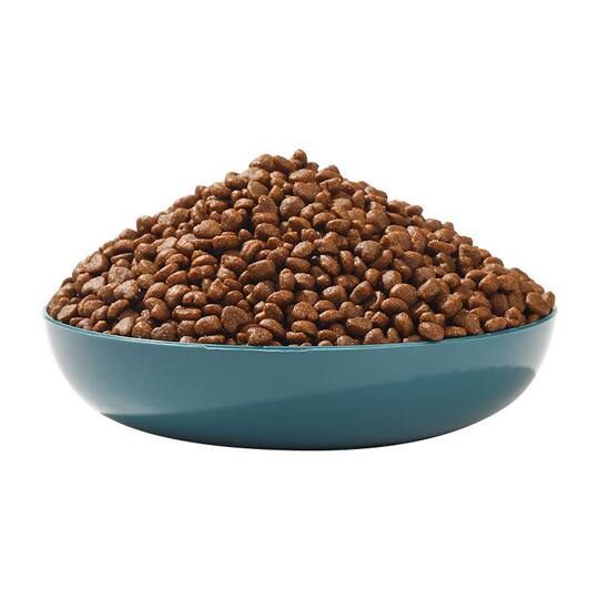 Cat Food for Adult Cats and Kittens Full Price Pack 10kg 2.5kg Adult Cat Domestic Hairy Cat Staple Food Feed Stray Cat 10kg