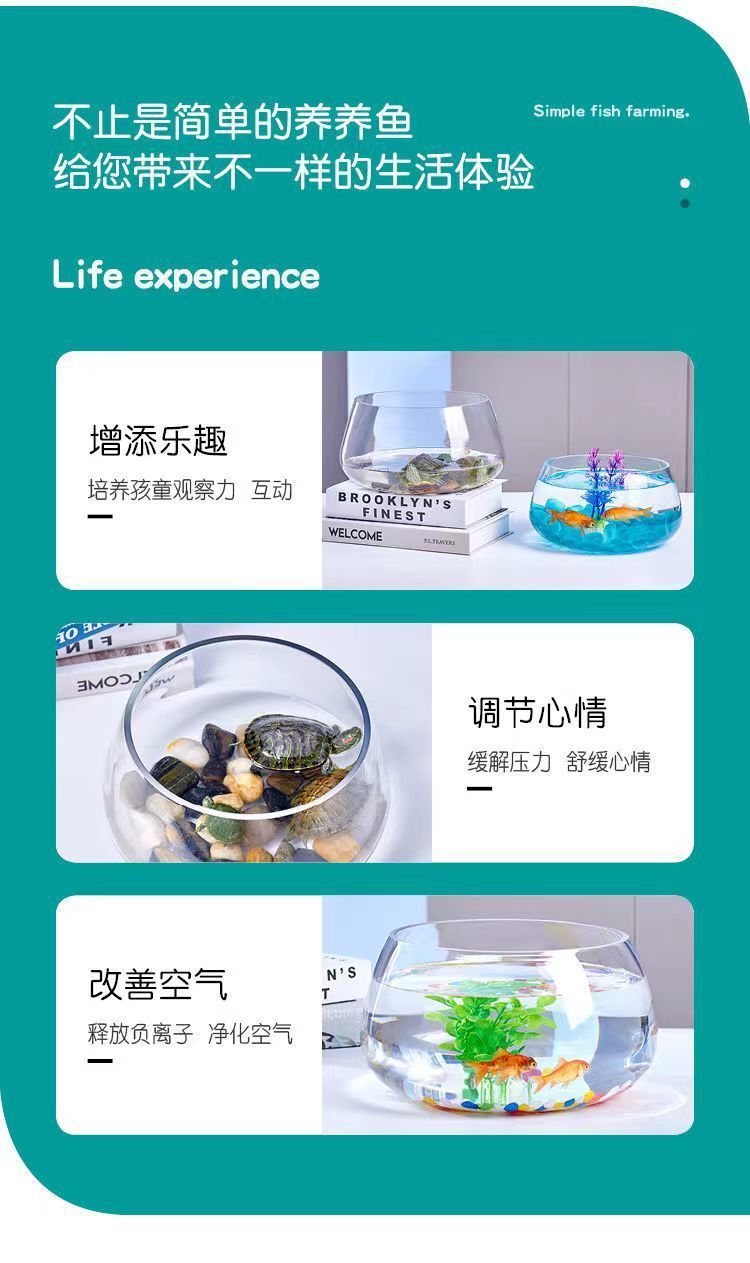 e959192c-d29b-4057-95e9-acdc7f0f10fc.jpe