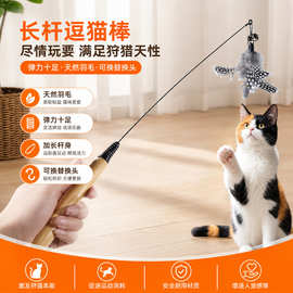 钢丝羽毛赛级逗猫棒替换头耐咬猫咪自嗨解闷幼猫玩耍互动宠物用品