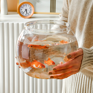 Transparent Plastic Desktop Ornaments Turtle Tank Office Ornamental Fish Tank Household Micro Landscape Hydroponic Plants Goldfish Tank