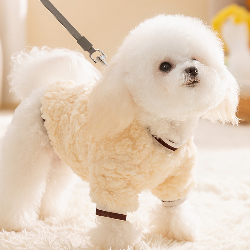 Arroz blanco lindo pegatina bordada pequeña oveja guisante de seda de dos pies chaqueta de terciopelo pequeño perro otoño invierno grueso ropa de mascotas image 3