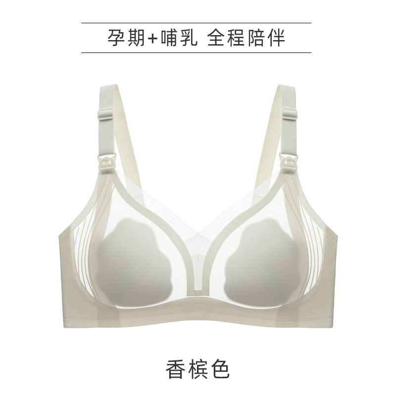 샴페인