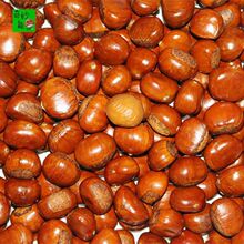 2024�ǳ������ǰ����������ʼ�ʳ�Fɢ�b500/10002500���l